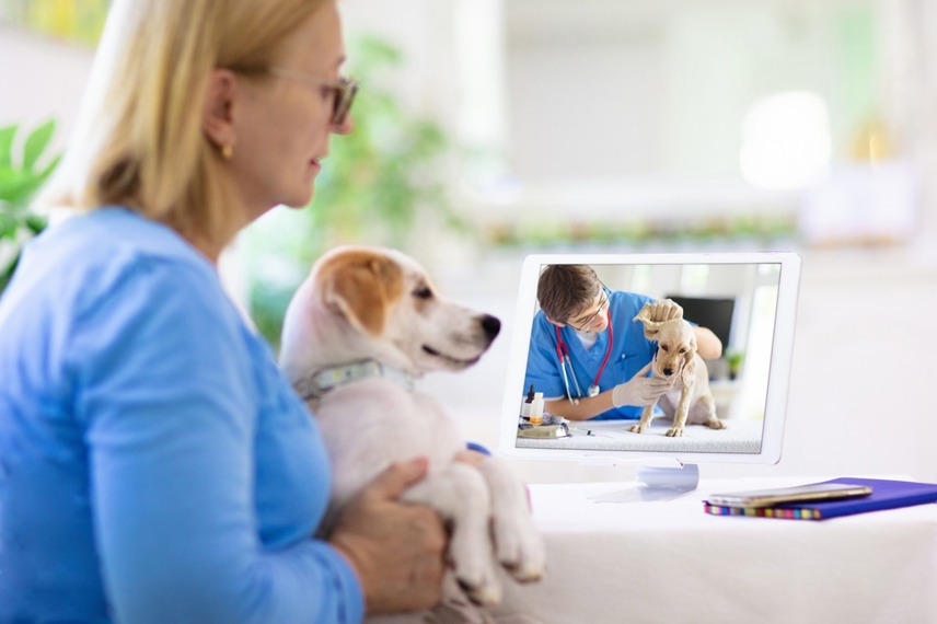 How Virtual Vet Visits Simplify Pet Care